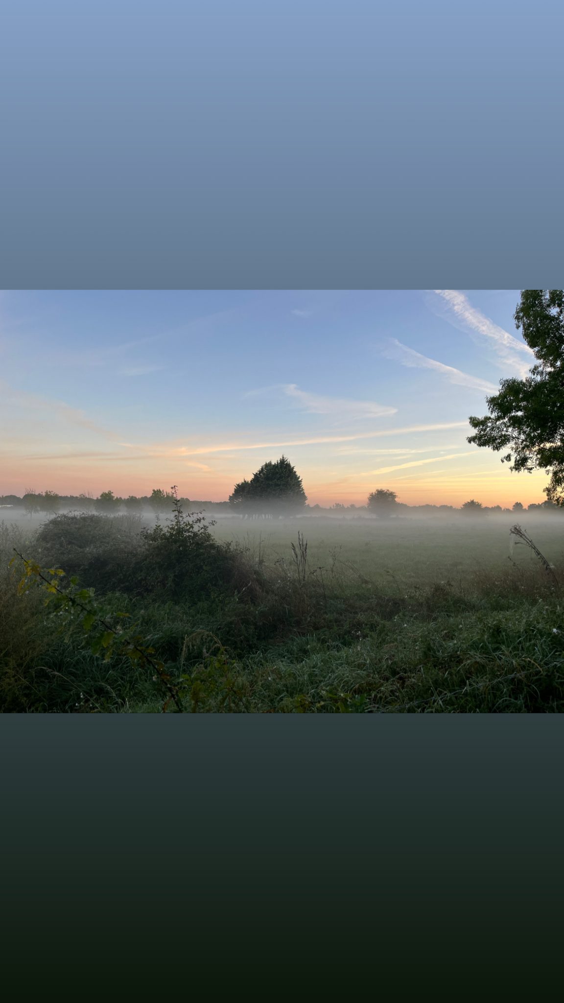 5960923B-A15F-448A-AA17-7DA9D4088FB5