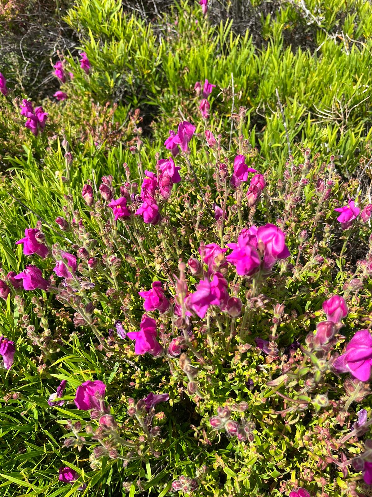 15291b3b-3895-4d39-9f14-2fc50490a1f5