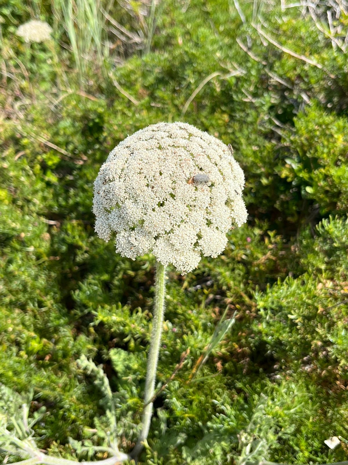 21cdf98e-4097-4974-a4c4-ff0715bea279