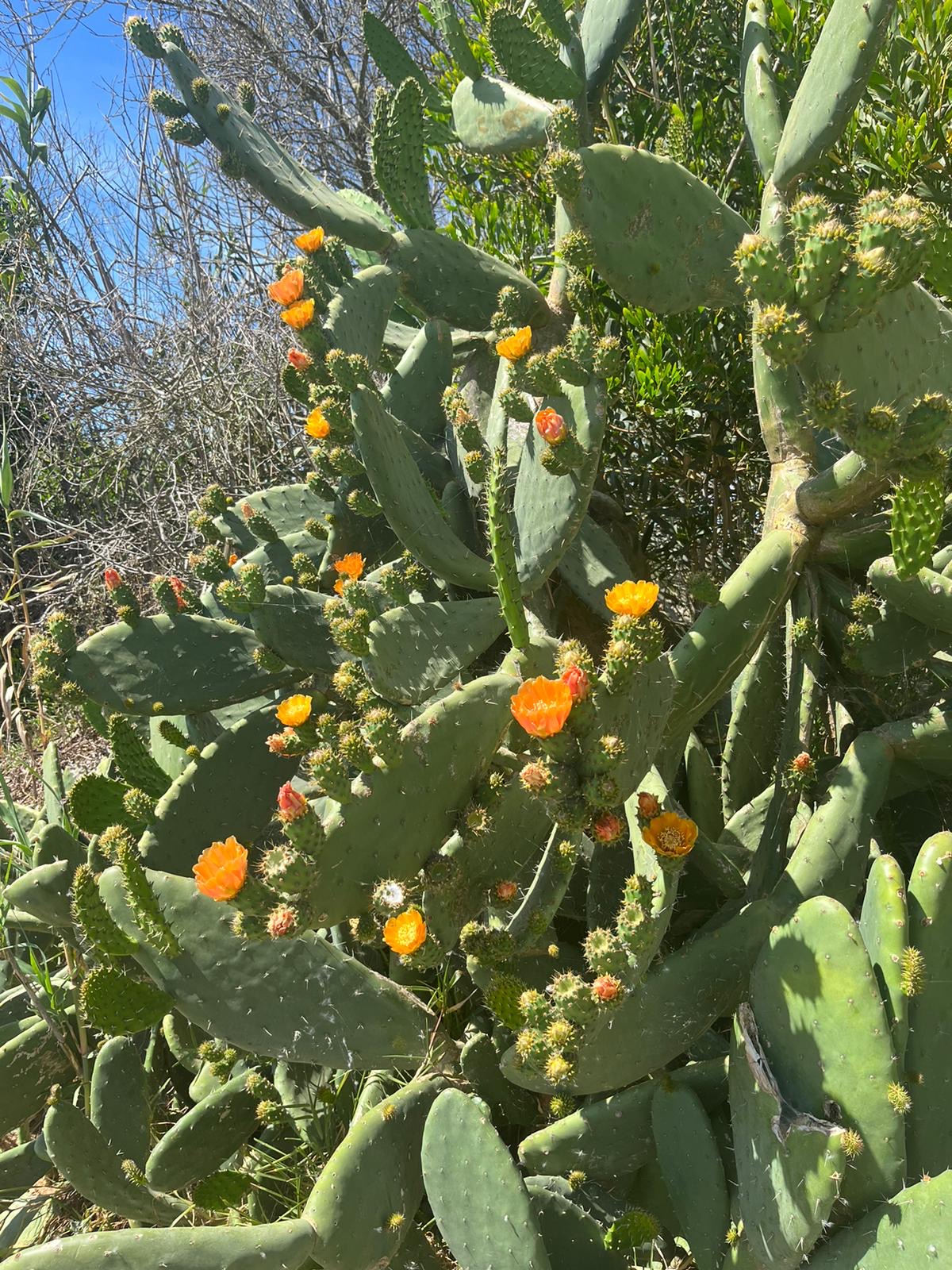 76f9ce79-a67b-4f54-83e8-84be3065f25e