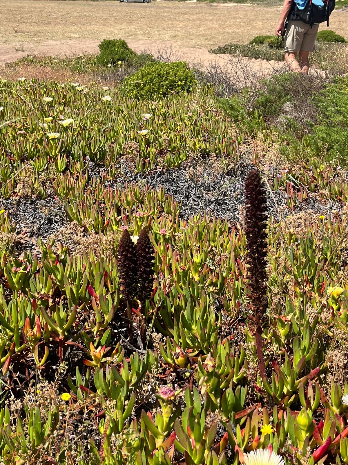 b1fe4d5b-f28a-4b9a-bd6c-20d368b2eec2