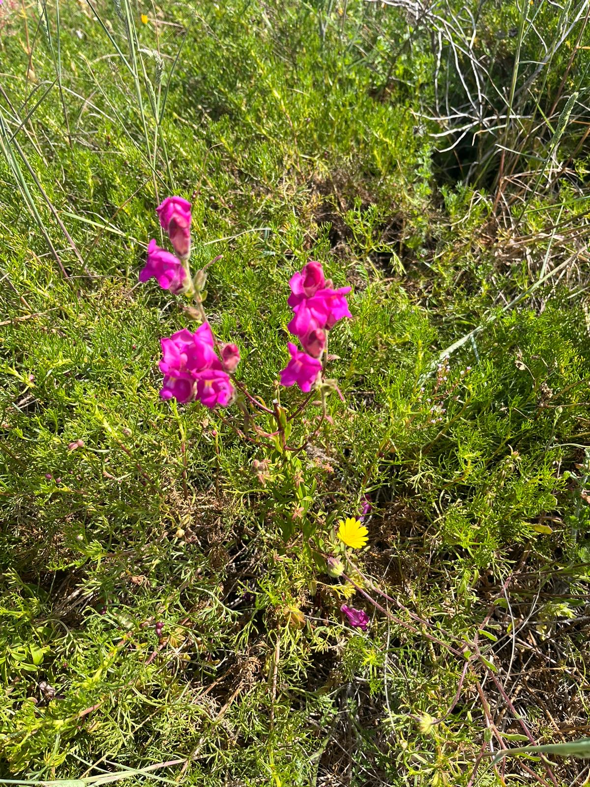 d251822d-cc76-4266-8275-a0415cd390cf