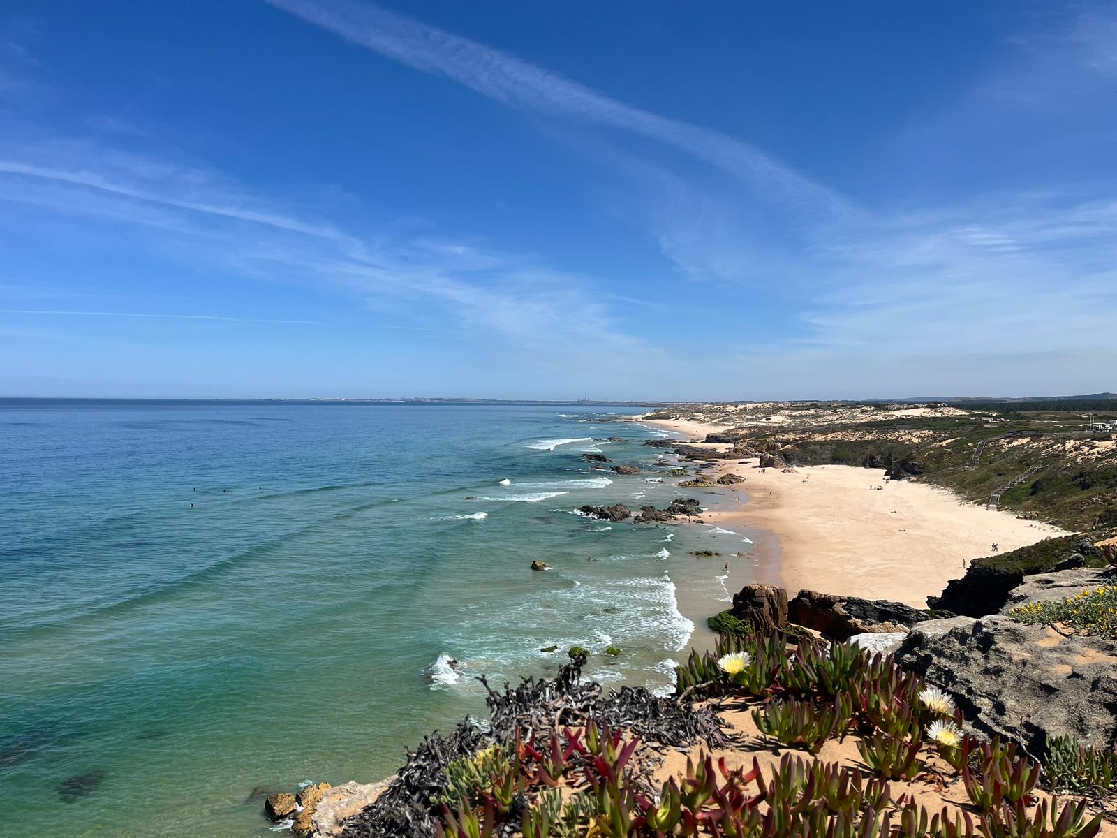 d83ce4ad-455a-401a-88a1-d17d1f5a9696