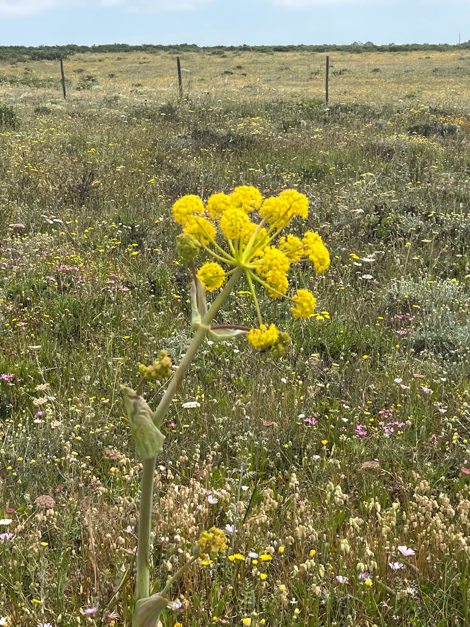 e4c773f6-146d-4669-8af9-2cb3c8ddf038